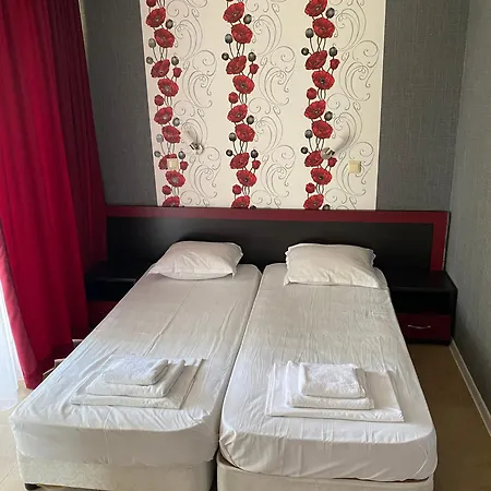 Sea Star 普里莫尔斯科